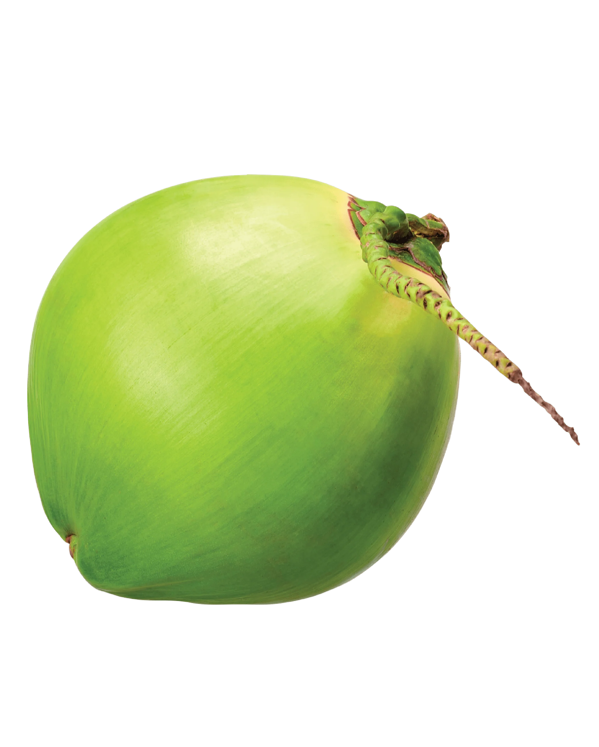 Green Green Coconut 
